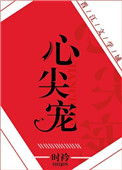 心尖宠（娱乐圈）封面