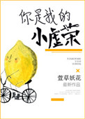 你是我的小虚荣封面