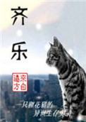 齐乐封面