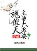 穿成龙傲天主角大老婆封面
