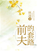 前夫的套路封面