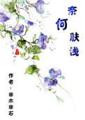 奈何肤浅封面