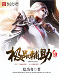 极品辅助系统封面