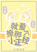 就爱撩那个小正经封面