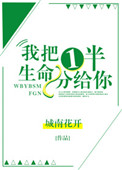 我把一半生命分给你封面
