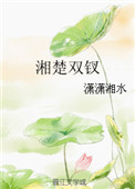 湘楚双钗封面