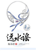 远水谣封面