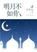 明月不如你封面