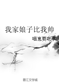 我家娘子比我帅封面