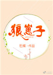 狼崽子封面