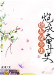 炮灰奋斗史[清]封面