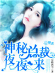 神秘总裁夜夜来封面
