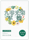 九零光荣军嫂封面