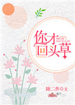 你才回头草封面