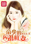 帝少的闪婚鲜妻封面