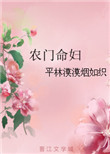 农门命妇封面