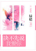 决不先说我爱你封面