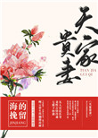 天家贵妻封面