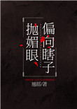 偏向瞎子抛媚眼封面