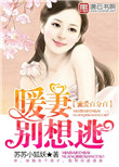 蜜爱百分百：暖妻别想逃封面