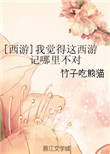 [西游]我觉得这西游记哪里不对封面