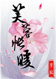 芙蓉帐暖封面