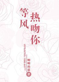 等风热吻你封面