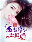 豪门虐爱：恶魔夜少太撩人封面