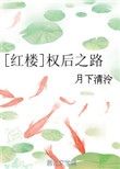[红楼]权后之路封面