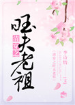 清穿之旺夫老祖封面