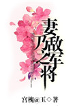 妻乃敌军之将封面