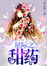 星际之甜药封面