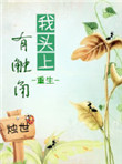 我头上有触角（重生）封面