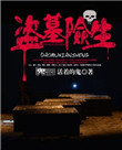 盗墓险生封面