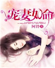 宠妻如命封面