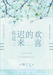 你是迟来的欢喜封面