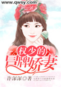 权少的冒牌娇妻封面