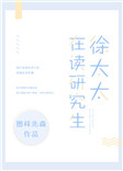 徐太太在读研究生封面