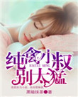 纯禽小叔别太猛封面
