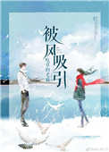 被风吸引封面