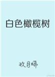 白色橄榄树封面