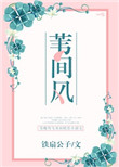 苇间风封面