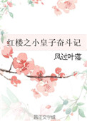 红楼之小皇子奋斗记封面
