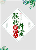 朕的奸宦是佳人封面