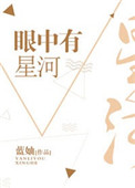 眼中有星河封面