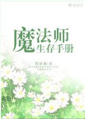 魔法师生存手册封面