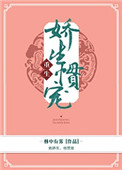 娇生惯宠封面