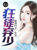 狂徒弃少封面