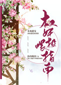 权奸投喂指南封面