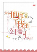 他掀了我的红盖头封面